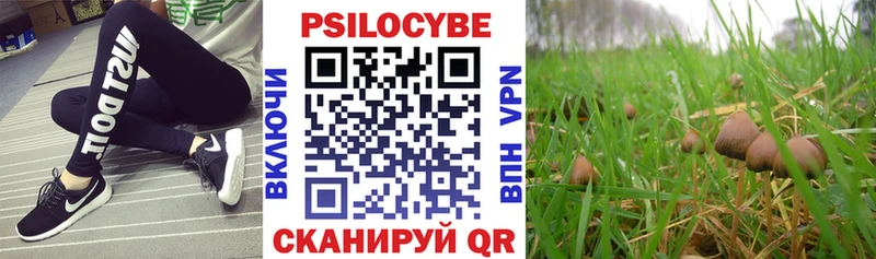 Галлюциногенные грибы GOLDEN TEACHER Северобайкальск